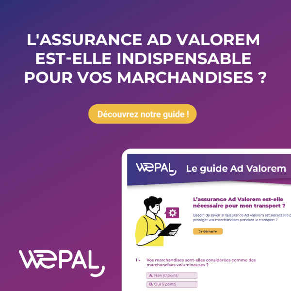 Guide : L’assurance Ad Valorem est-elle indispensable pour vos marchandises ?